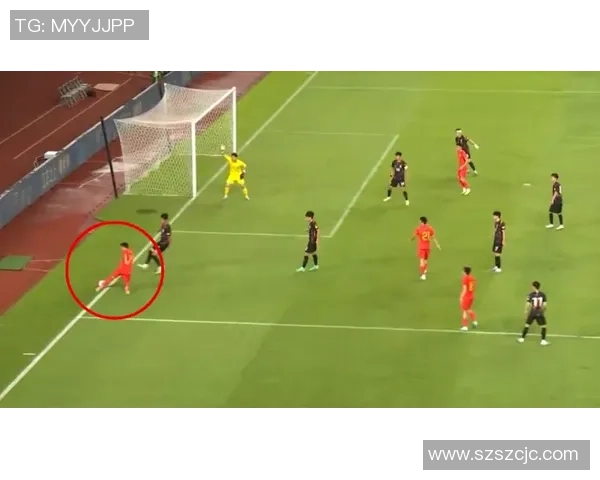 上海排球队技术争议引发热议球迷与专家各执己见探讨战术与表现