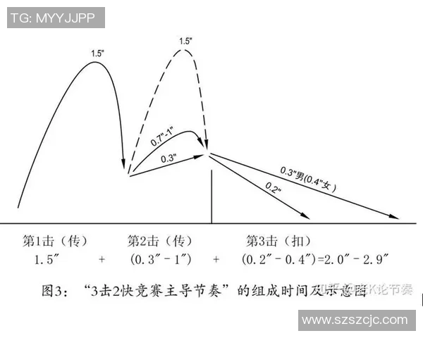 上海排球队的节奏革新探索与发展之路解析