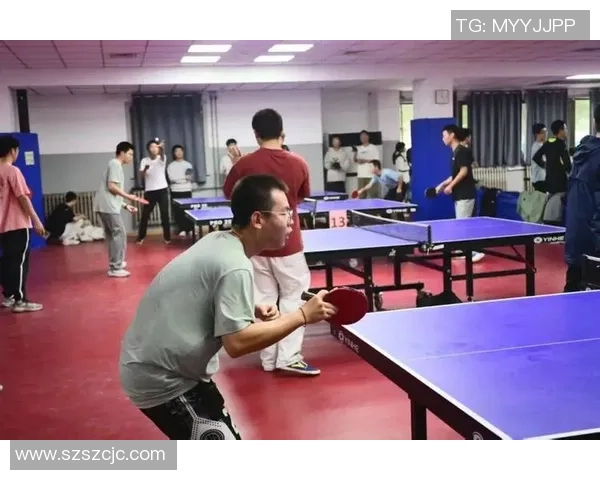 乒乓球盛宴：深入西安乒乓球队的训练与比赛节奏探秘