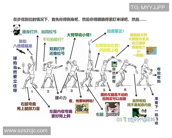 西安羽毛球队战术创新与实战应用的深度分析与探讨 西安羽毛球队战术创新与实战应用的深度分析与探讨